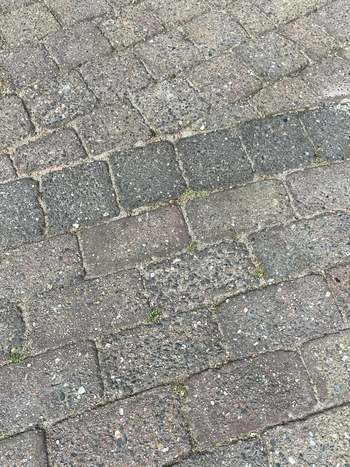 Terras stenen, Tuin en Terras, Tegels en Klinkers, Ophalen, Zo goed als nieuw, Beton, Klinkers