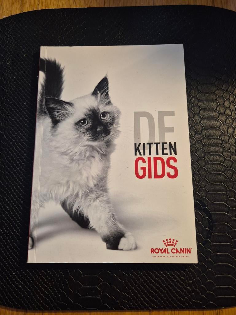 De kitten gids, Ophalen of Verzenden, Zo goed als nieuw, Katten