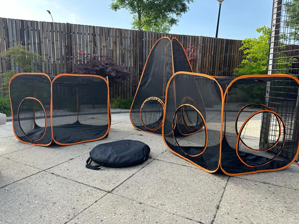 Honden of Katten speeltunnel., Ophalen of Verzenden, Nieuw, Intelligentiespeelgoed