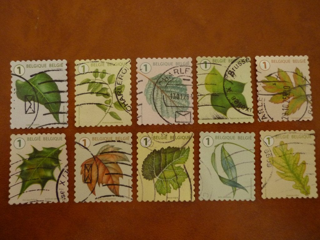 Lot Belgie gestempeld complete serie bladvormen 2024, Ophalen of Verzenden, Gestempeld