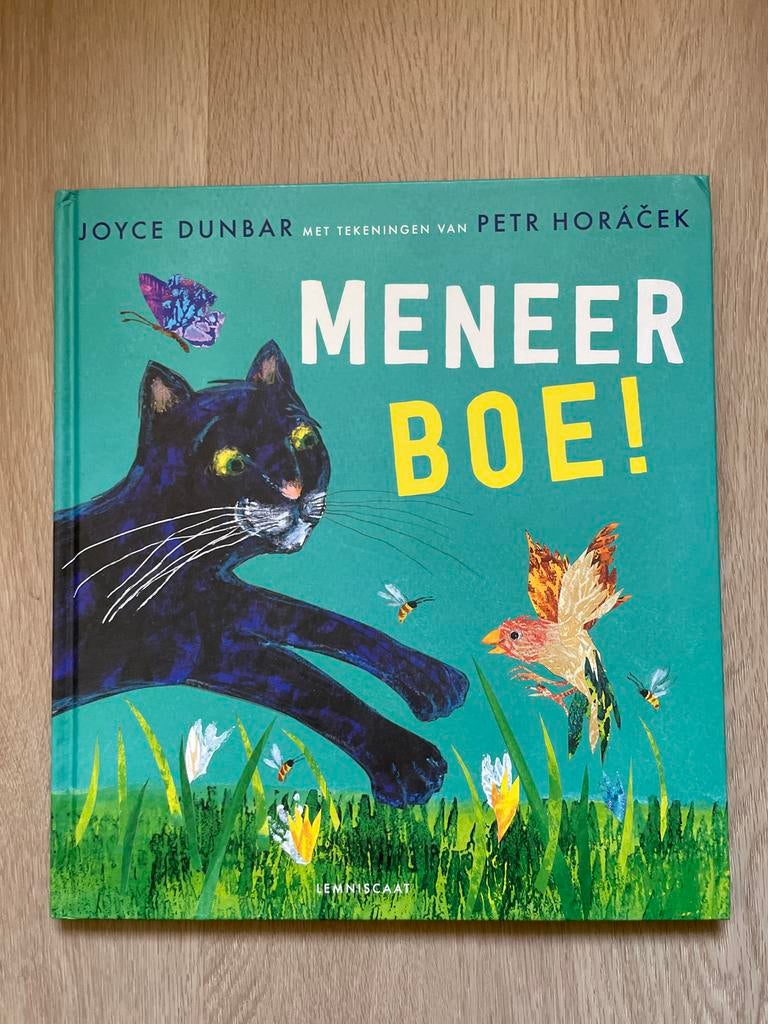 Meneer Boe! - Joyce Dunbar en Petr Horácek, Fictie algemeen, Jongen of Meisje, Ophalen of Verzenden, Zo goed als nieuw