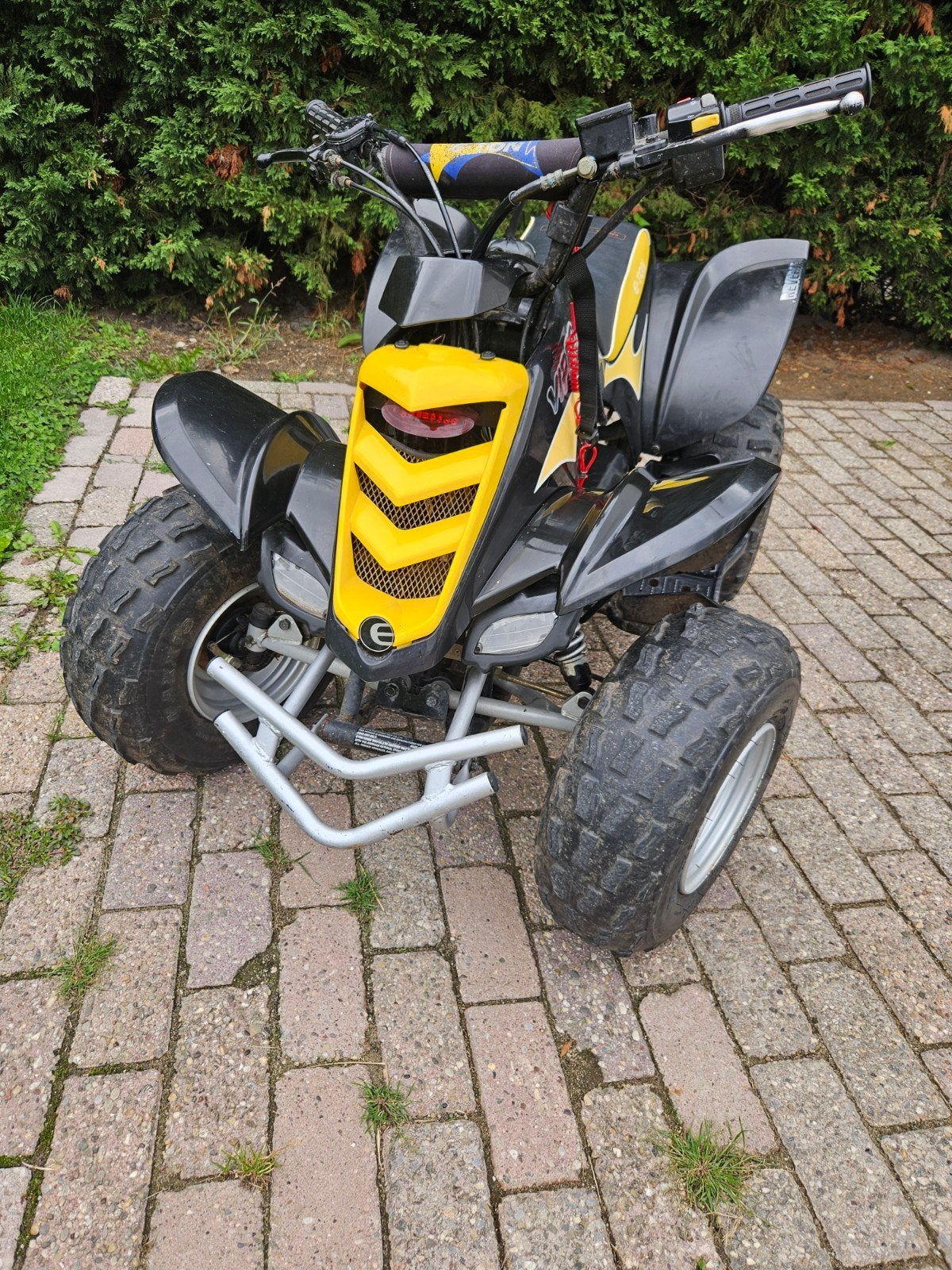 E-TON Viper 90R Quad - Perfect voor jonge avonturiers, Fietsen en Brommers, Ophalen