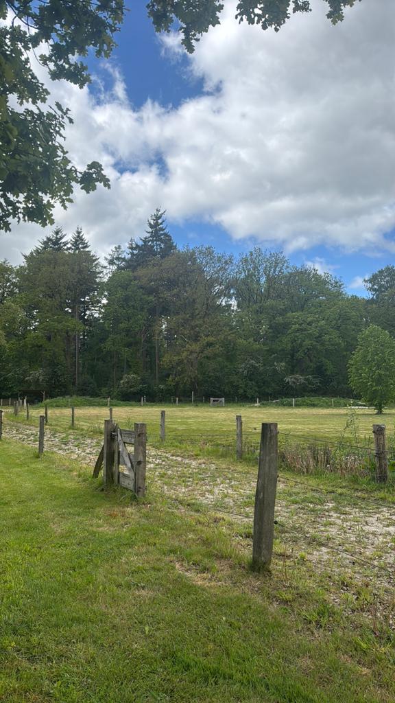 Acacia palen en gallagher permanente bekabeling en koord, Dieren en Toebehoren, Stalling en Weidegang, Weidegang