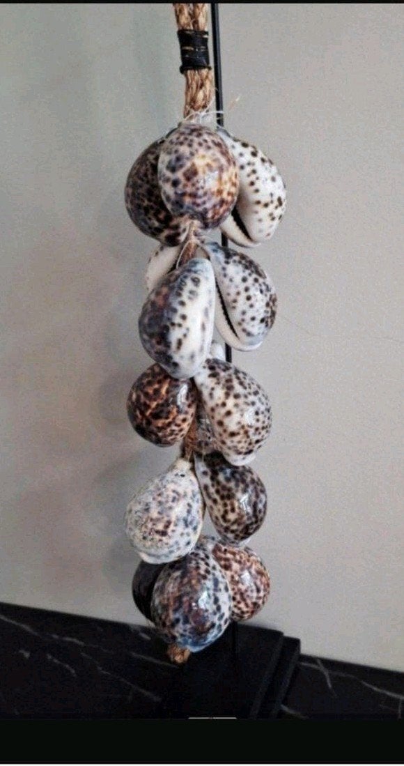Tijgerschelpen ketting bruin groot op zwarte voet japandi, Nieuw, Ophalen of Verzenden, X, X