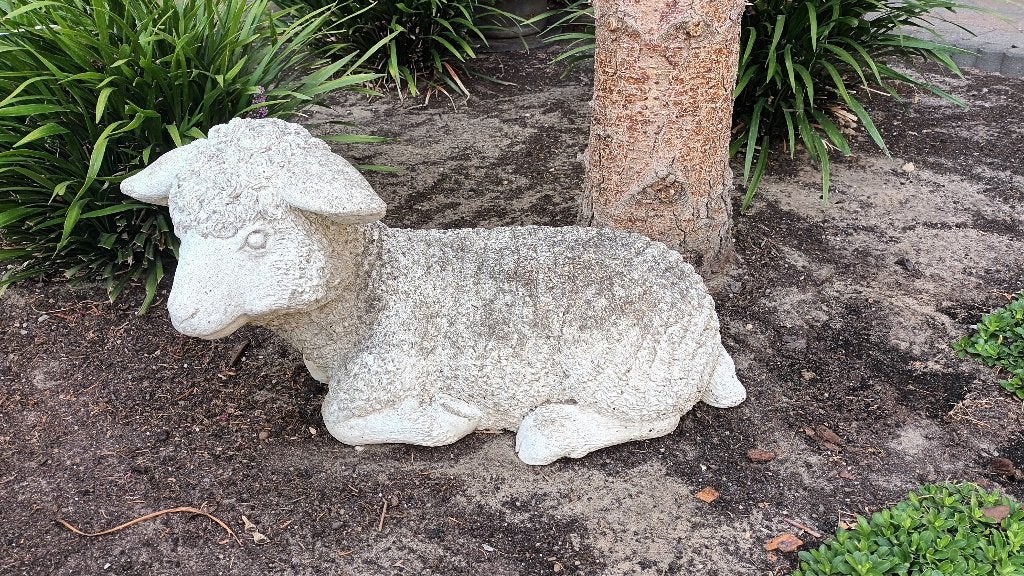 betonnen schaap, Tuin en Terras, Tuinbeelden, Ophalen, Gebruikt, Beton