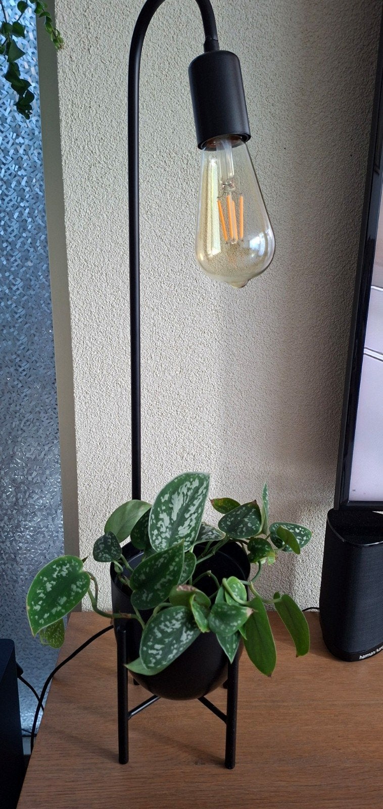 Moderne zwarte tafellamp met plantenhouder, Ophalen