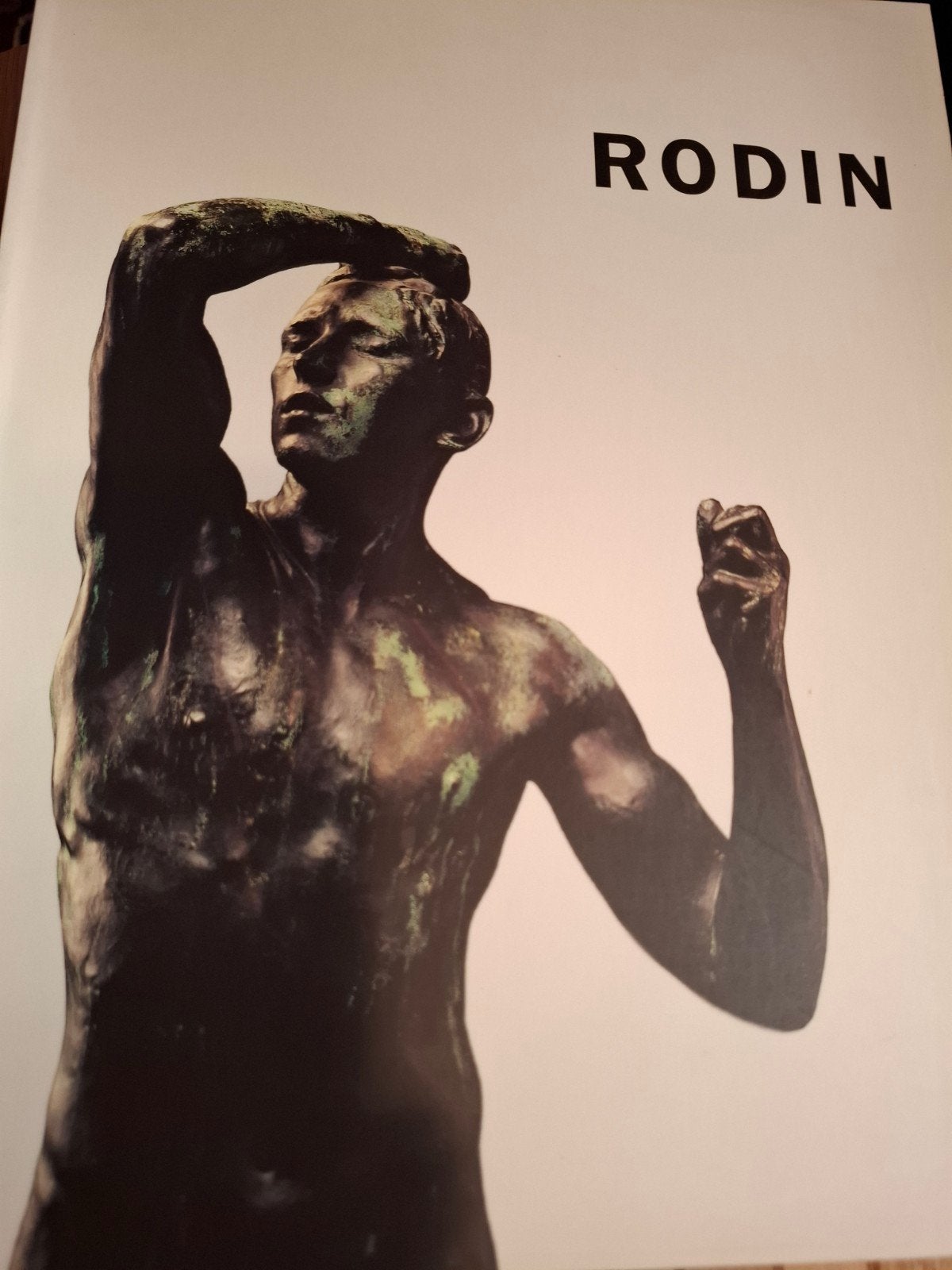 Rodin (Het Paleis Den Haag/Singer Laren, 1995), Verzenden, Zo goed als nieuw
