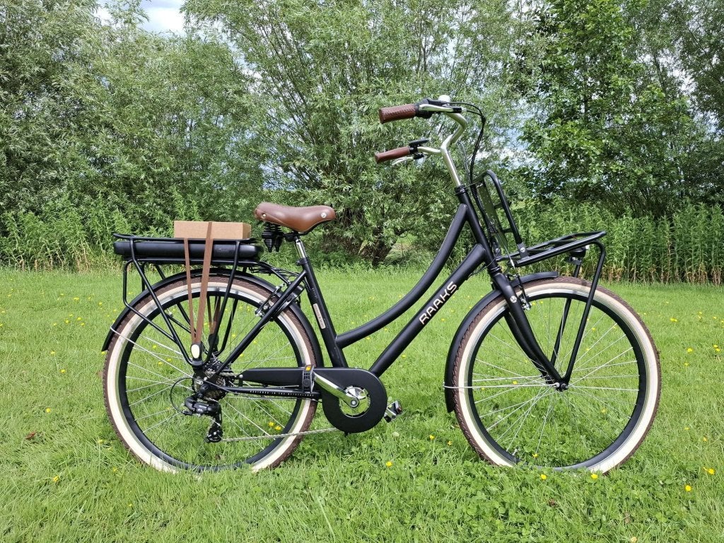 Fietshokje Groningen: Raaks Moxy E-Bike