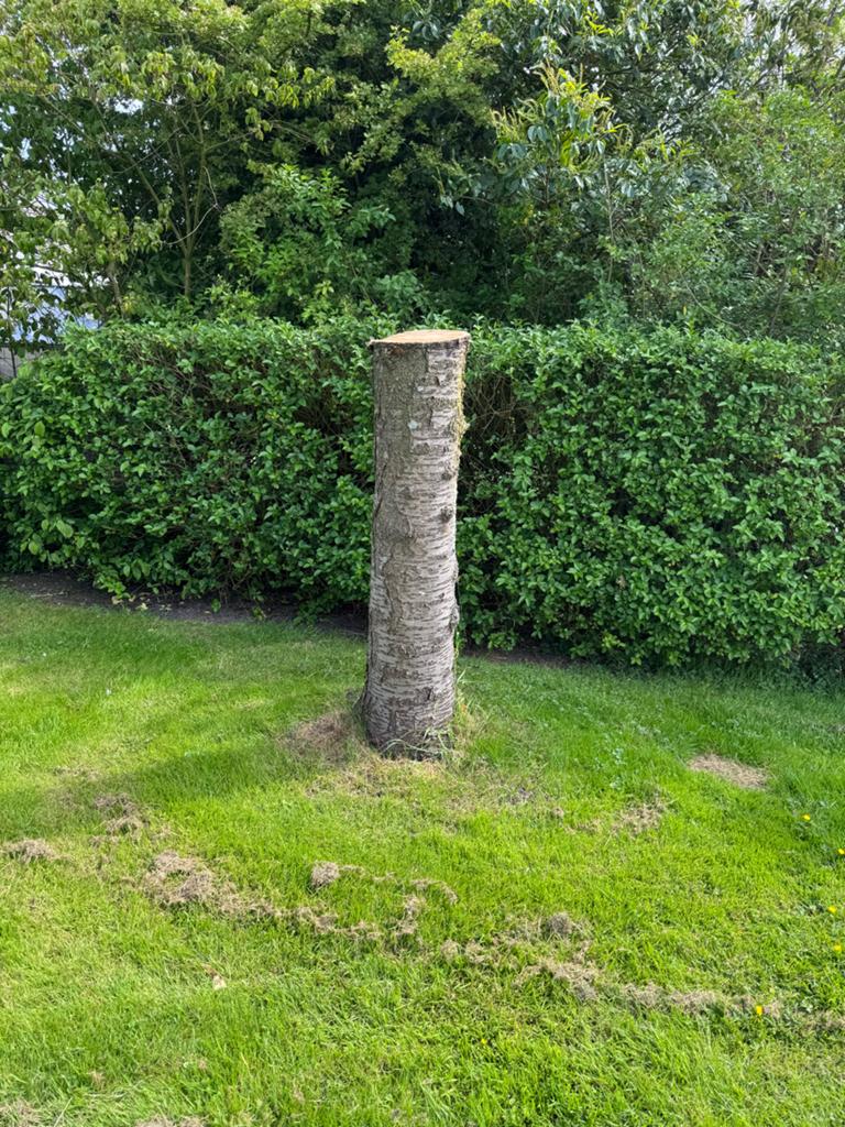 Gezocht, Beeldhouwkunst