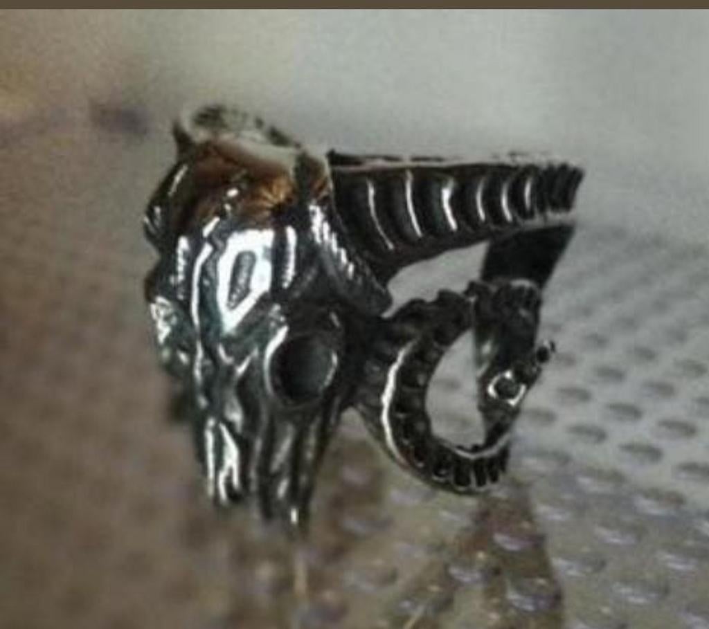 Stoere schedel ring - Outlaws Amsterdam stijl, Gebruikt, IJzer of Staal, 19 tot 20, Heer