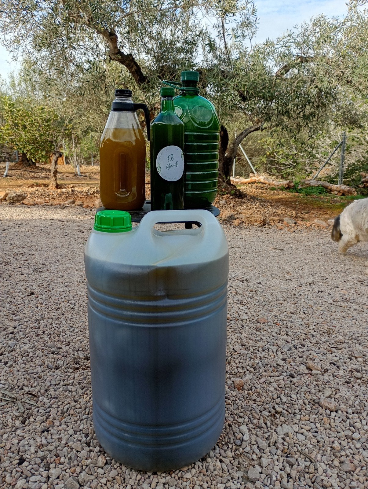 Olijfolie uit Spanje, Ophalen
