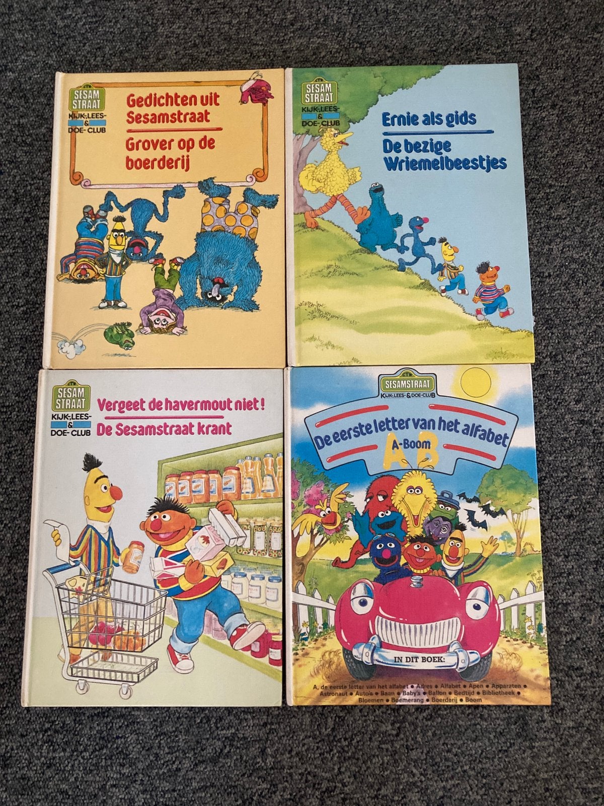Sesamstraat Kijk lees en doe club boeken., Boeken, Ophalen of Verzenden, Zo goed als nieuw, Non-fictie