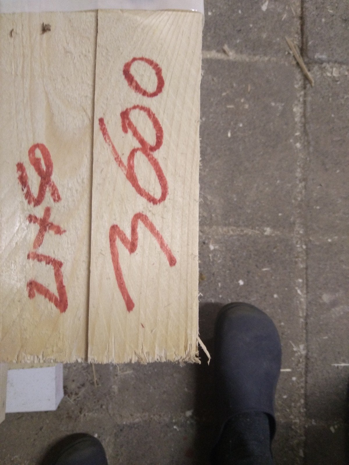 Panlatten 21x50x3600mm, Doe-het-zelf en Verbouw, Ophalen, Minder dan 25 mm, Nieuw, 300 cm of meer