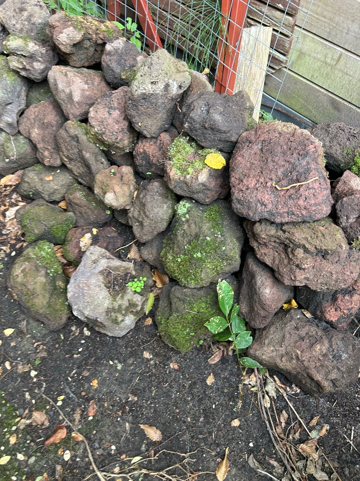 Grote partij lavastenen voor tuin of decoratie, Tuin en Terras, Ophalen, Gebruikt, Kei, Lava