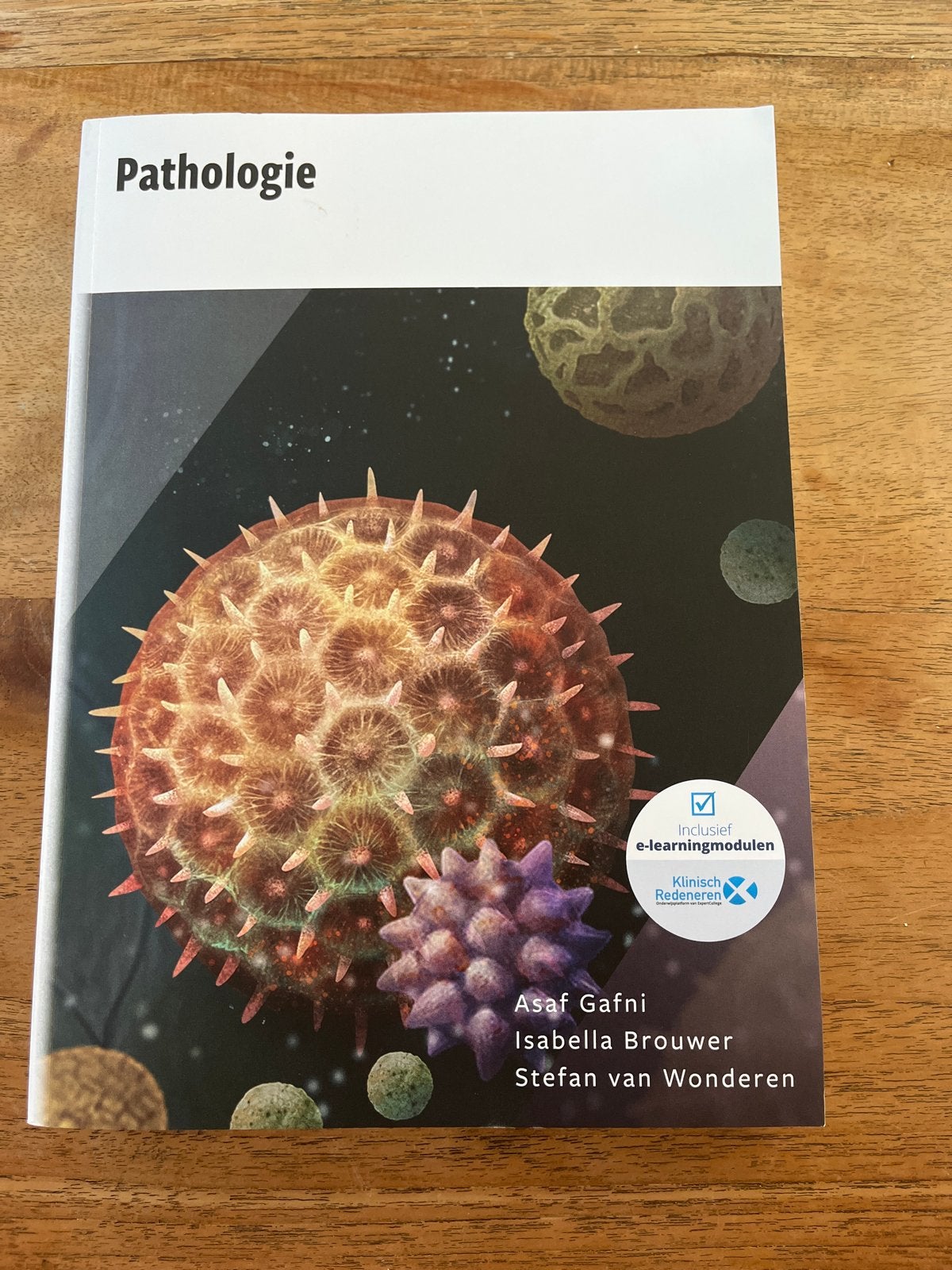 Asaf Gafni - Pathologie, Boeken, Ophalen, Asaf Gafni; Isabella Brouwer; Stefan van Wonderen, Zo goed als nieuw, Nederlands