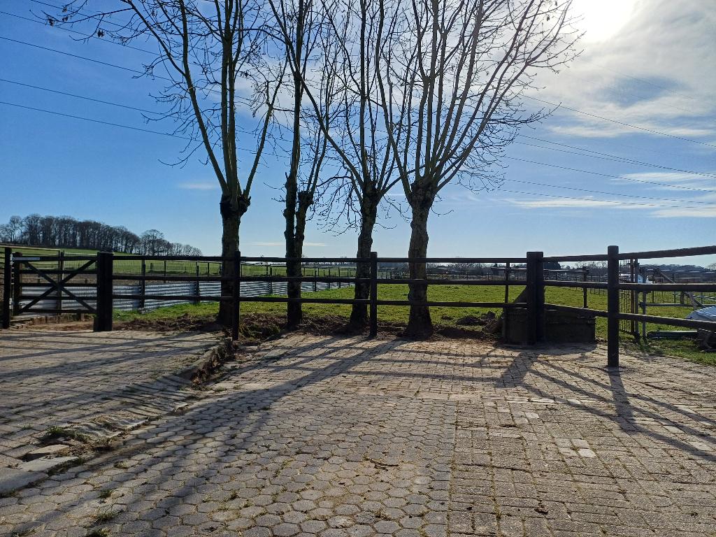 Weide met 2 stallen, Dieren en Toebehoren, Stalling en Weidegang, Weidegang