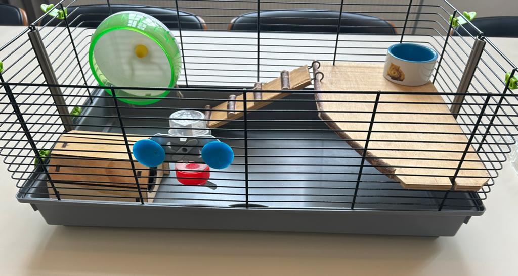 Hansterkooi, Dieren en Toebehoren, Kooi, Gebruikt, Minder dan 75 cm, Hamster