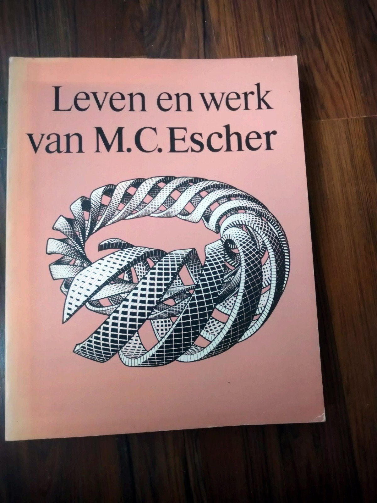 Leven en werk van Escher, Ophalen of Verzenden, Zo goed als nieuw