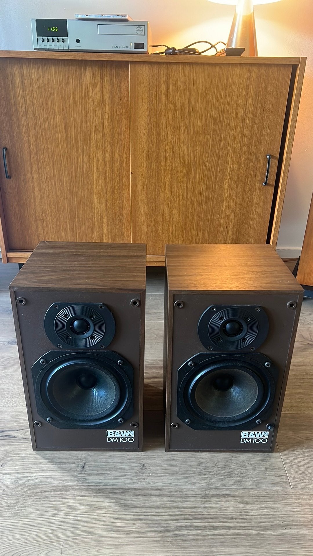 Bowers & Wilkins DM100, Audio, Tv en Foto, Ophalen, Inclusief kabels, Zo goed als nieuw, 60 tot 120 watt