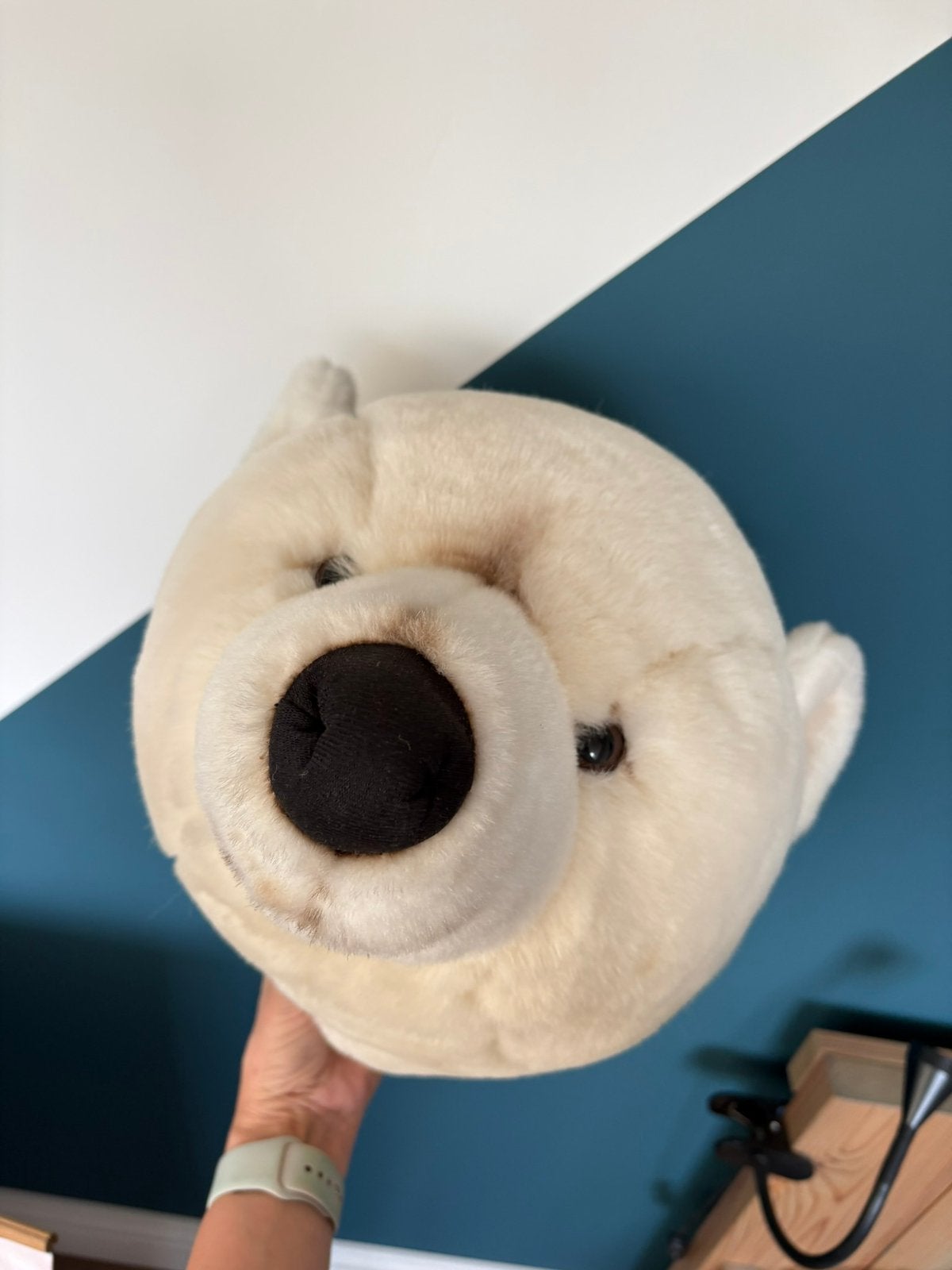 Mooie ijsbeer ‍️ kop superleuk voor de kinderkamer!, Ophalen of Verzenden, Zo goed als nieuw, Wanddecoratie
