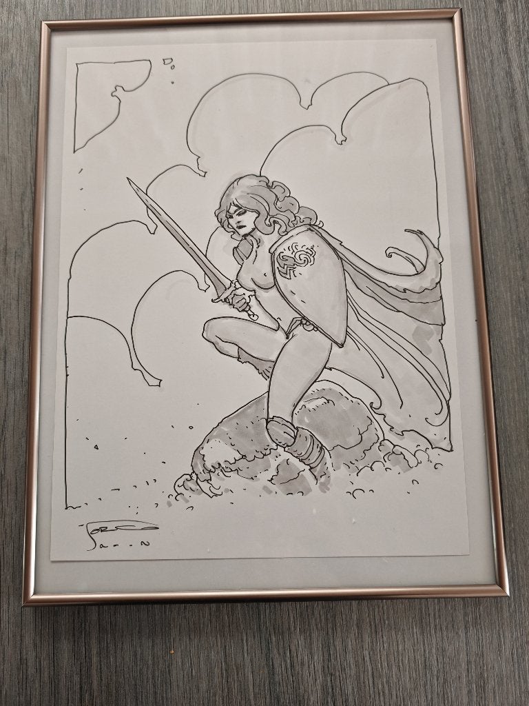 storm originele tekening, Boeken, Stripboeken, Eén stripboek, Ophalen of Verzenden, Zo goed als nieuw
