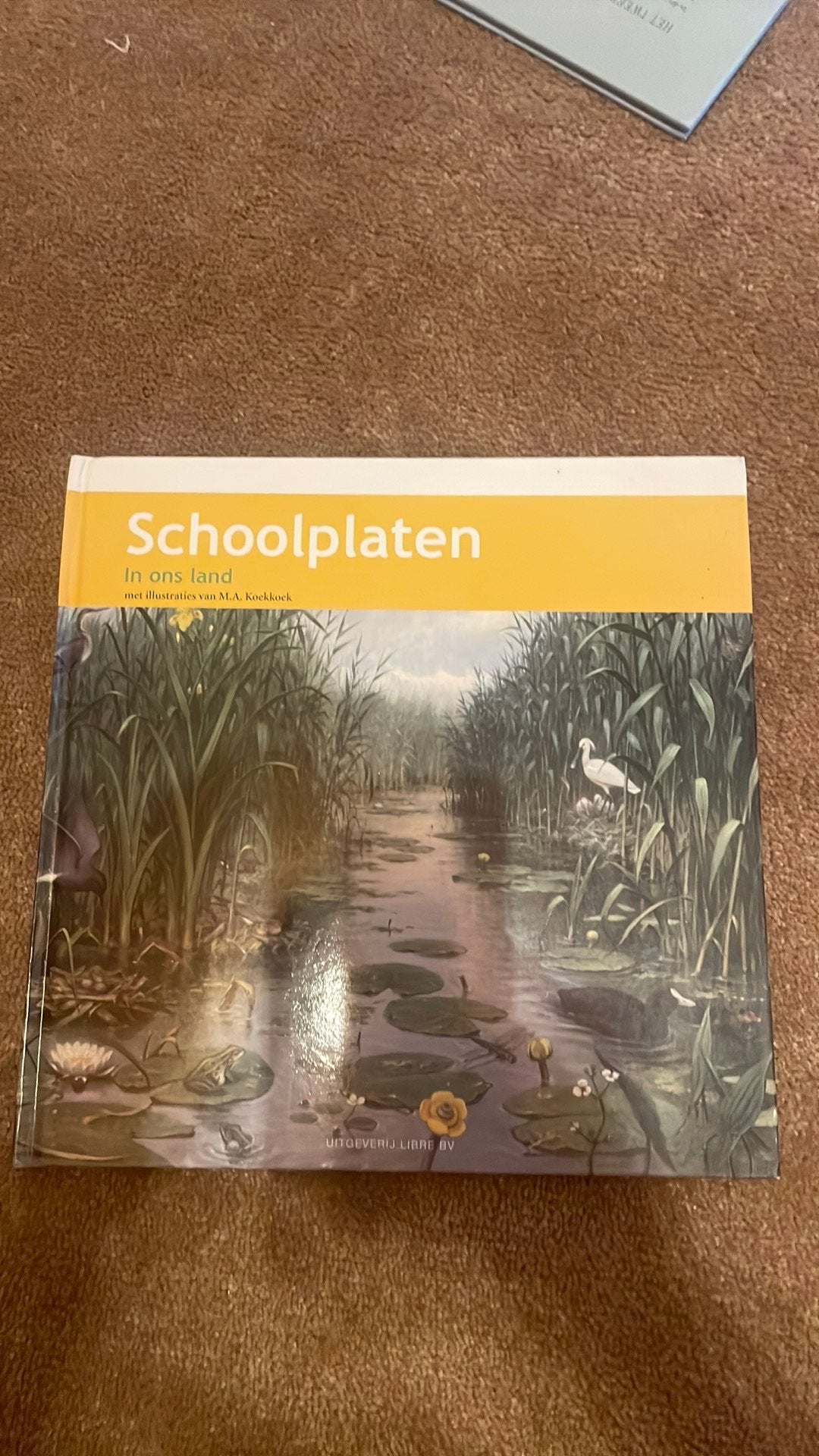 A.W.M. Dost - Schoolplaat In ons Land, Ophalen of Verzenden, Zo goed als nieuw, A.W.M. Dost