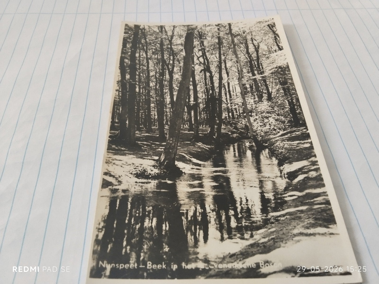Nunspeet - Beek in het Leuvenumse Bos ongelopen., Verzamelen, Ansichtkaarten | Nederland, Ongelopen, Gelderland, Voor 1920, Ophalen of Verzenden