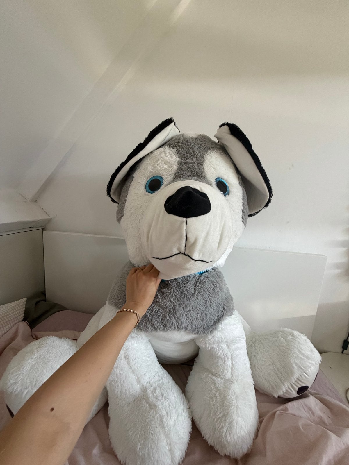 Mega Reuze Knuffel Hond - Zo goed als nieuw, Overige merken, Zo goed als nieuw, Meerkleurig, Groot (groter dan 80 cm)