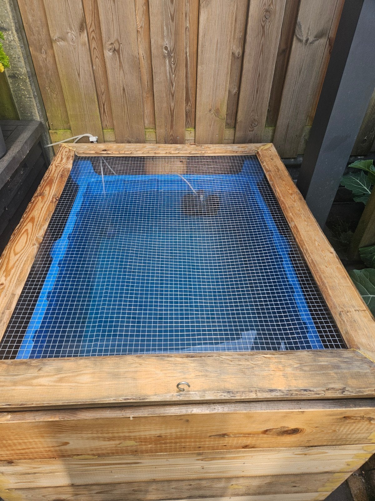 Quarantaine bak / opgroeibak / vijver bak met houten ombouw, Karper of Koi