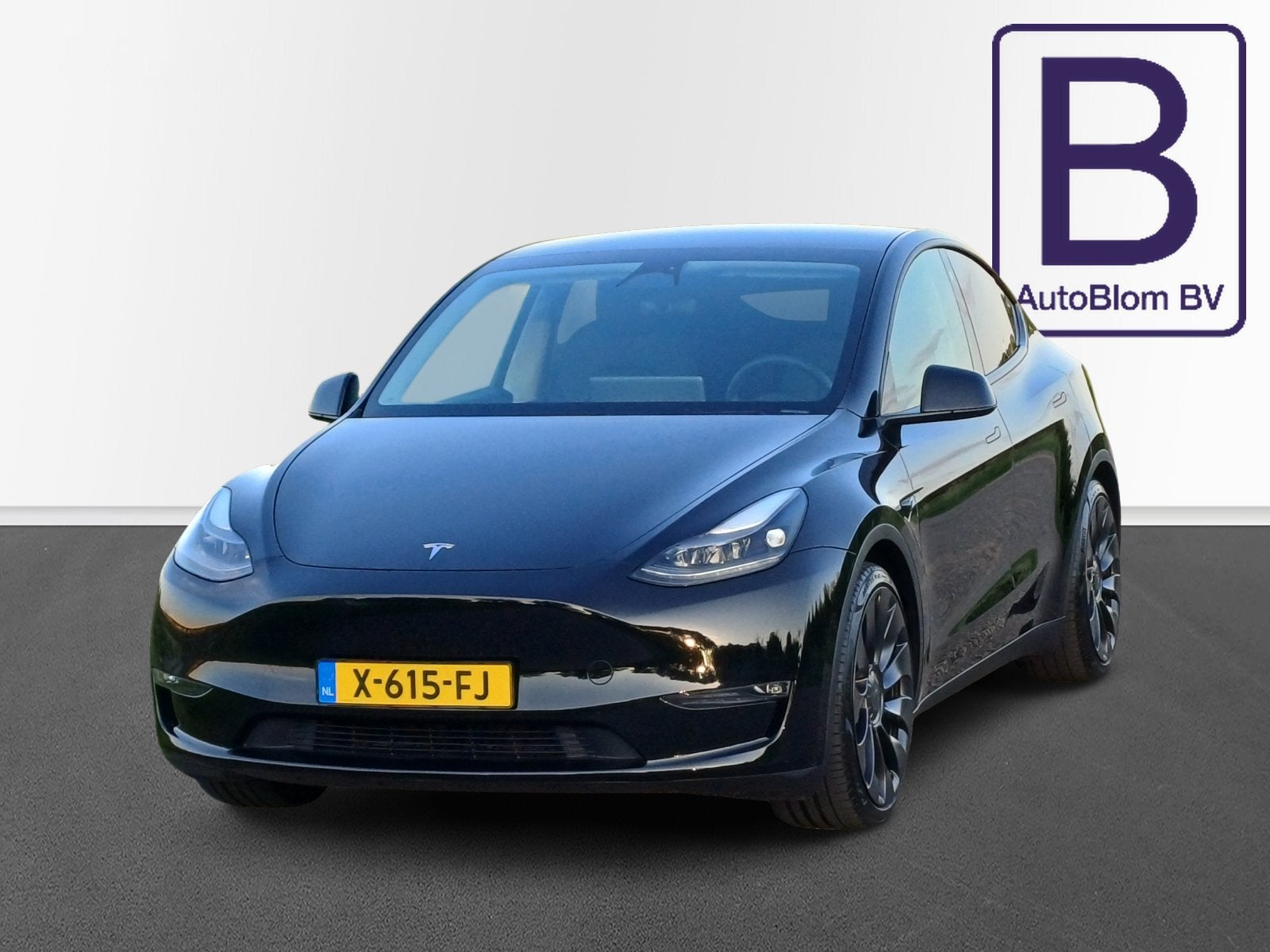 Tesla Model Y Performance AWD 75 kWh Autopilot 3.0, Auto's, Tesla, 514 km, Gebruikt, 1972 kg, Zwart