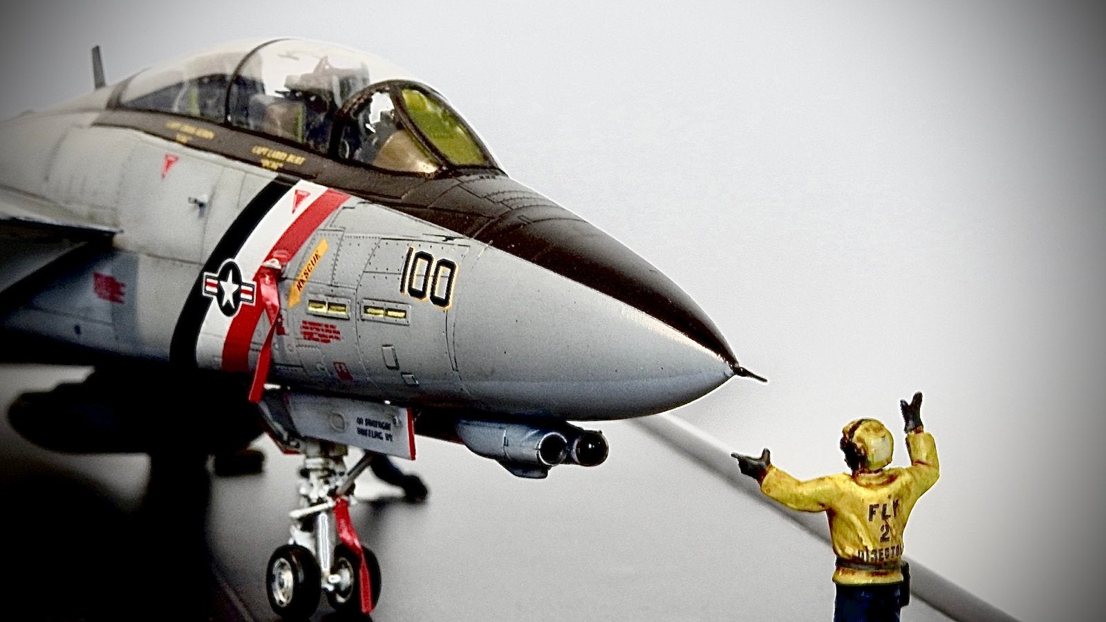 F-14D Tomcat diorama 1/48, Nieuw, Groter dan 1:72, Vliegtuig, Ophalen