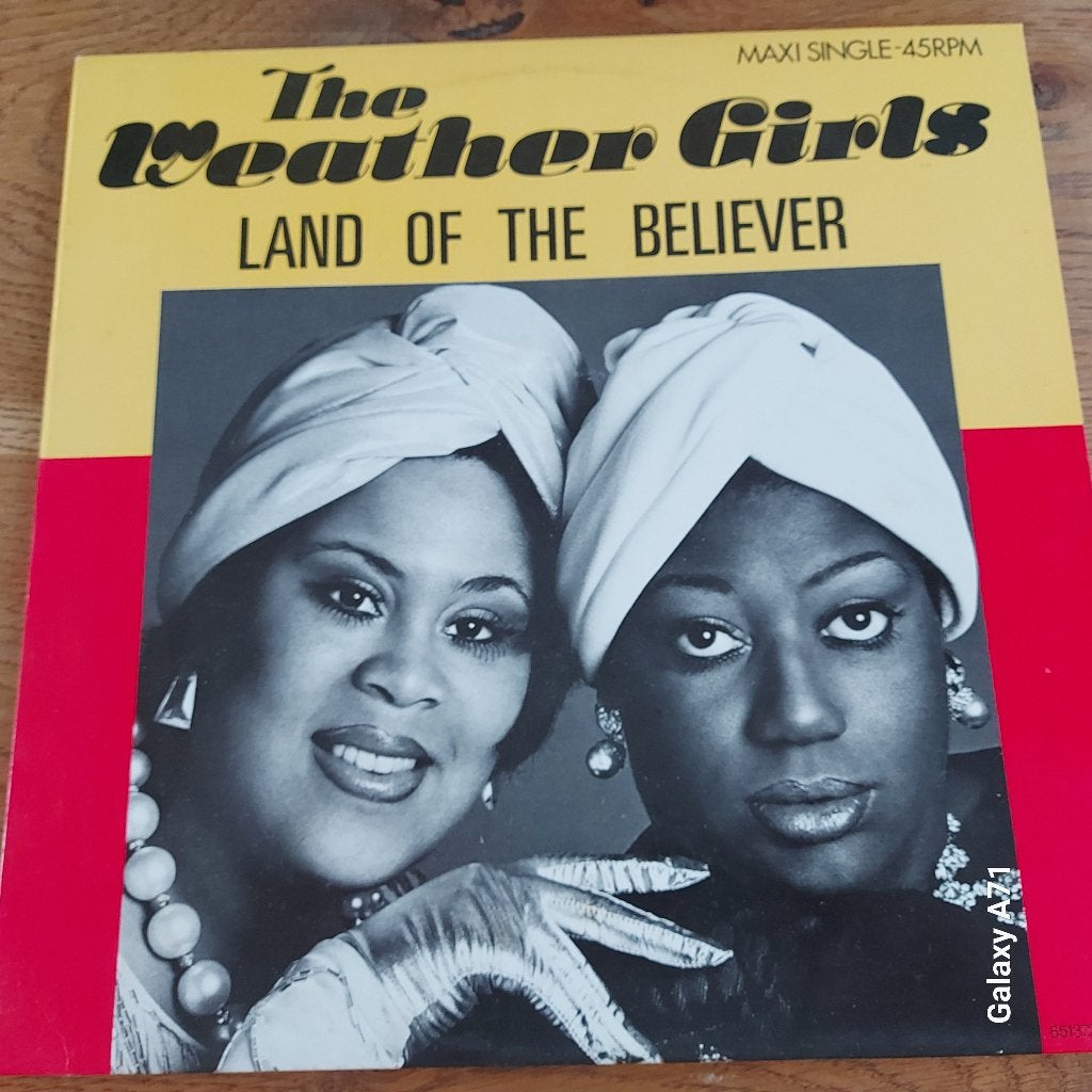12 inch Maxisingels The Weather Girls - Land Of The Believer, Gebruikt, Ophalen of Verzenden, Fotohoes, Disco