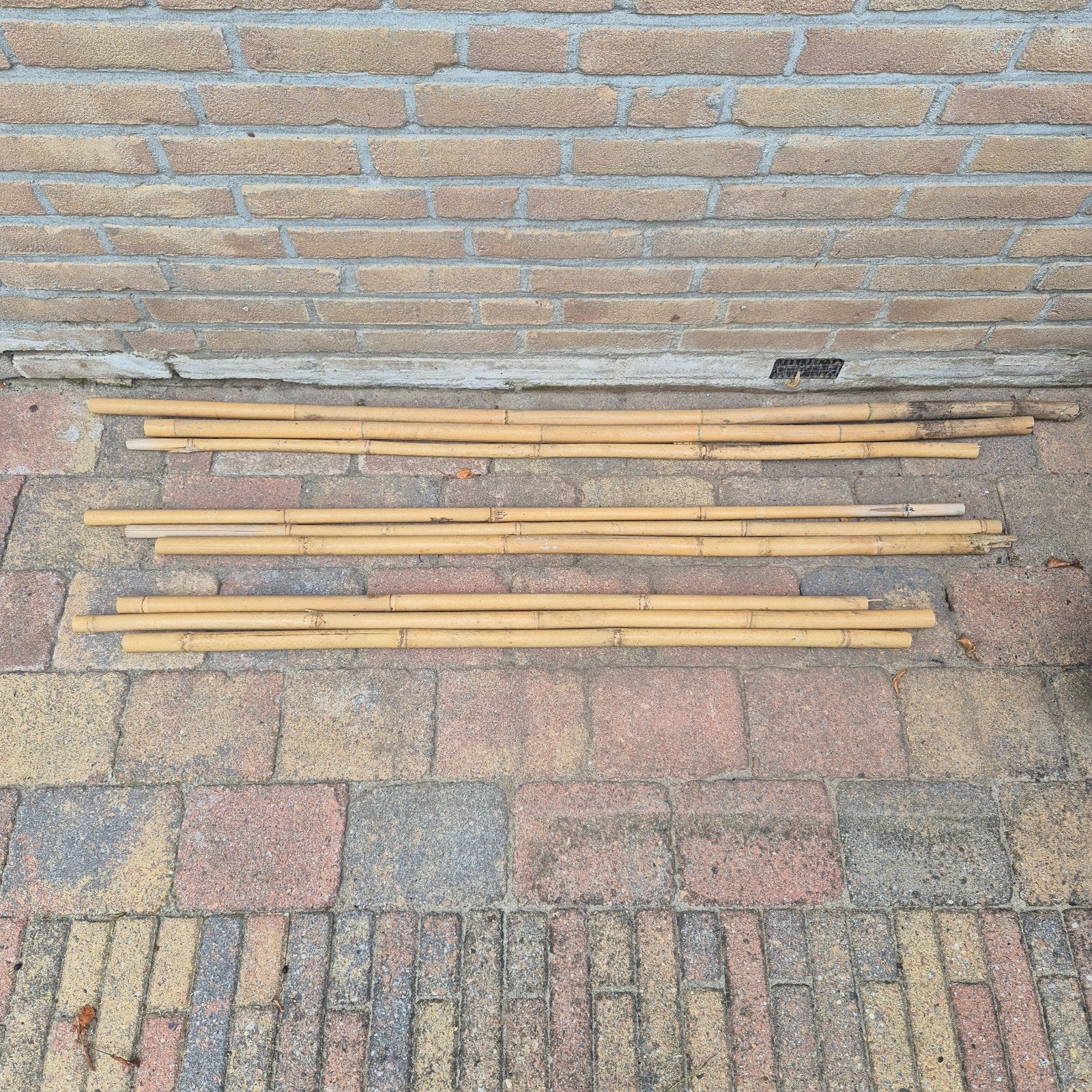 Bamboepalen 9 stuks, Ophalen