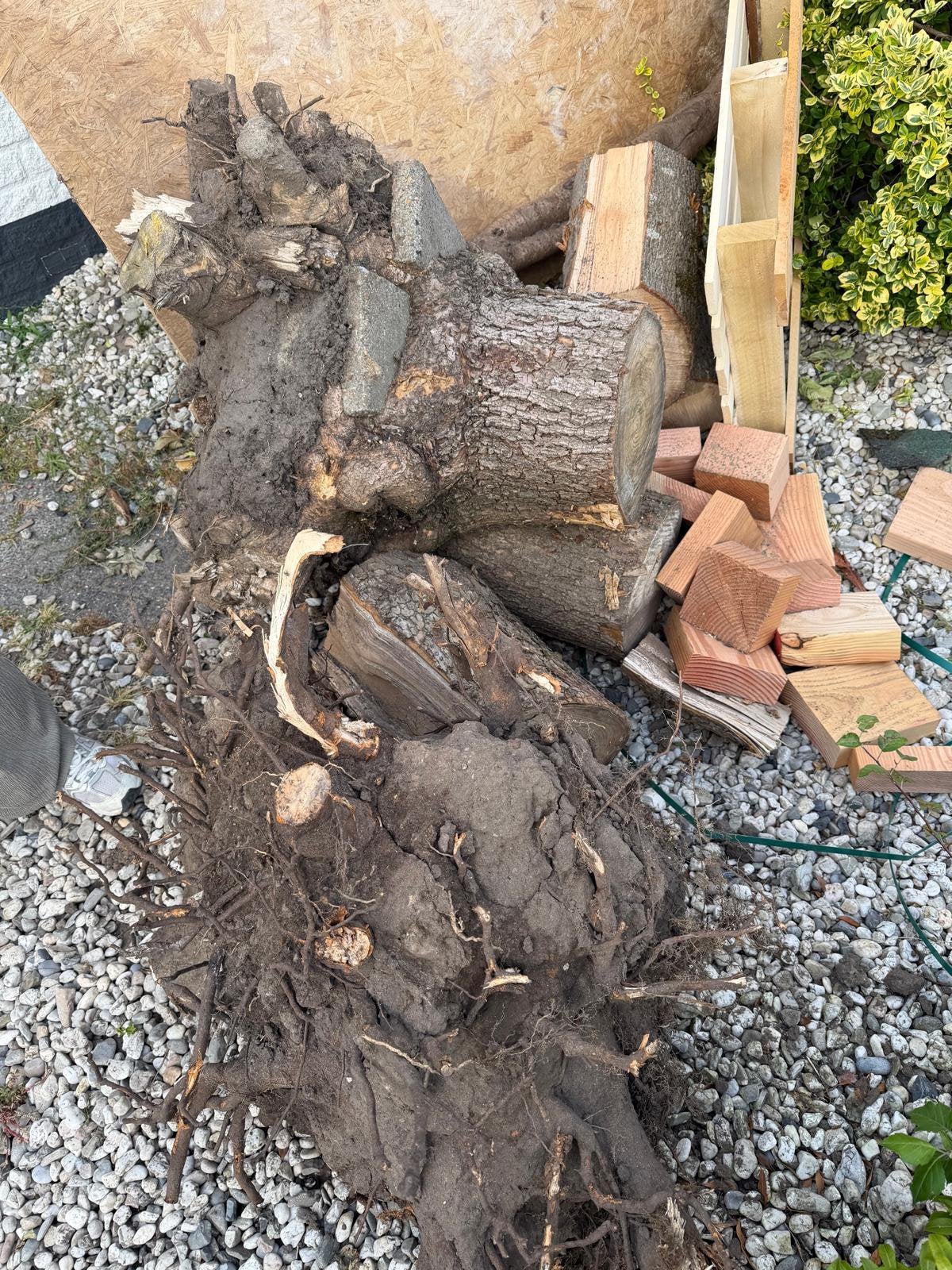 Gratis haardhout / brandhout, Minder dan 3 m³, Ophalen