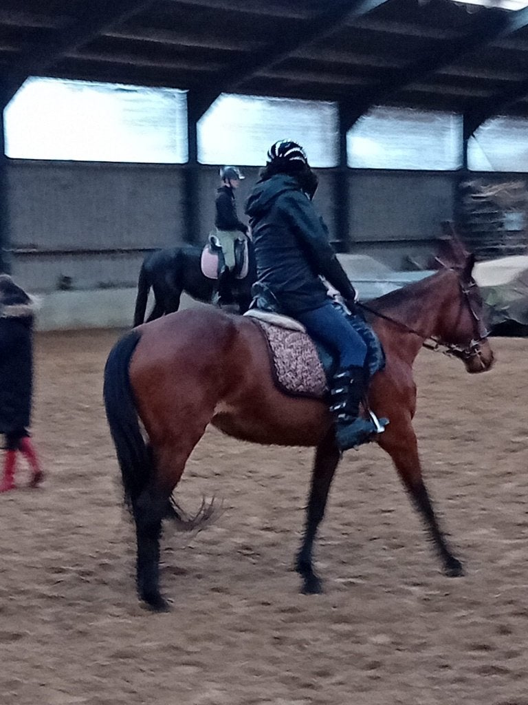 verzorgpony/paard gezocht, Dieren en Toebehoren, Paarden en Pony's | Verzorgingsproducten, Ophalen of Verzenden, Nieuw
