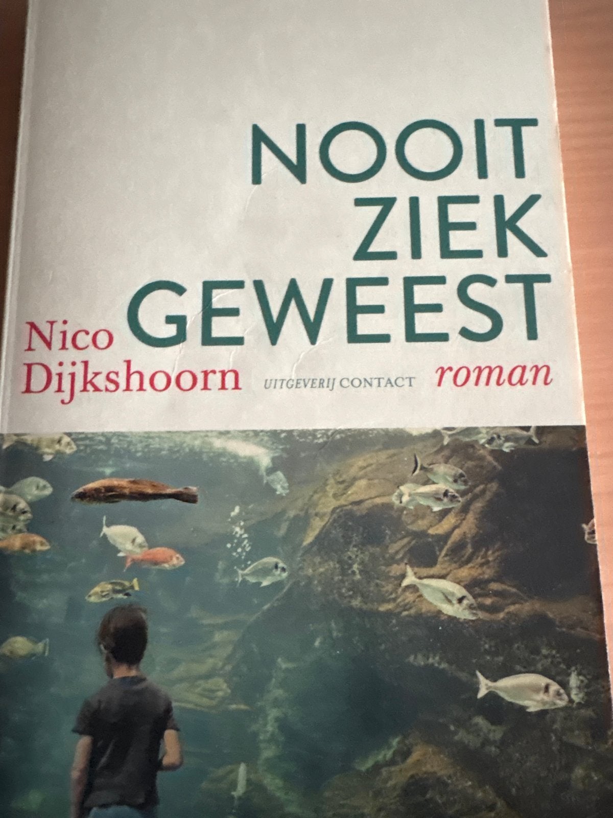 Nico Dijkshoorn - Nooit ziek geweest (roman), Ophalen of Verzenden, Gelezen, Nederland