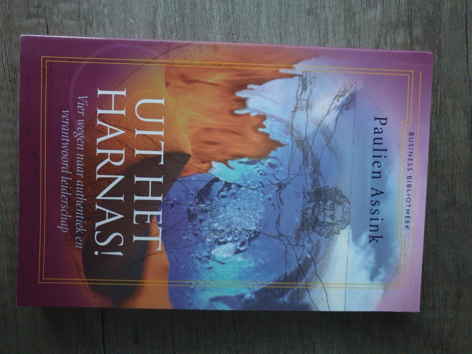 Uit het Harnas! Paulien Assink - Leiderschap, Ophalen of Verzenden, Gelezen, Paulien Assink