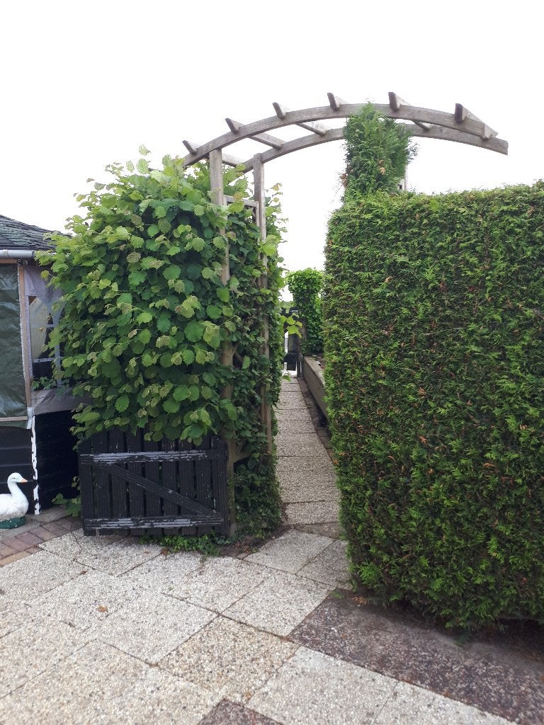 Foto 19 van te koop mooi chalet met tuinhuis naast zwem vis en vaarwater