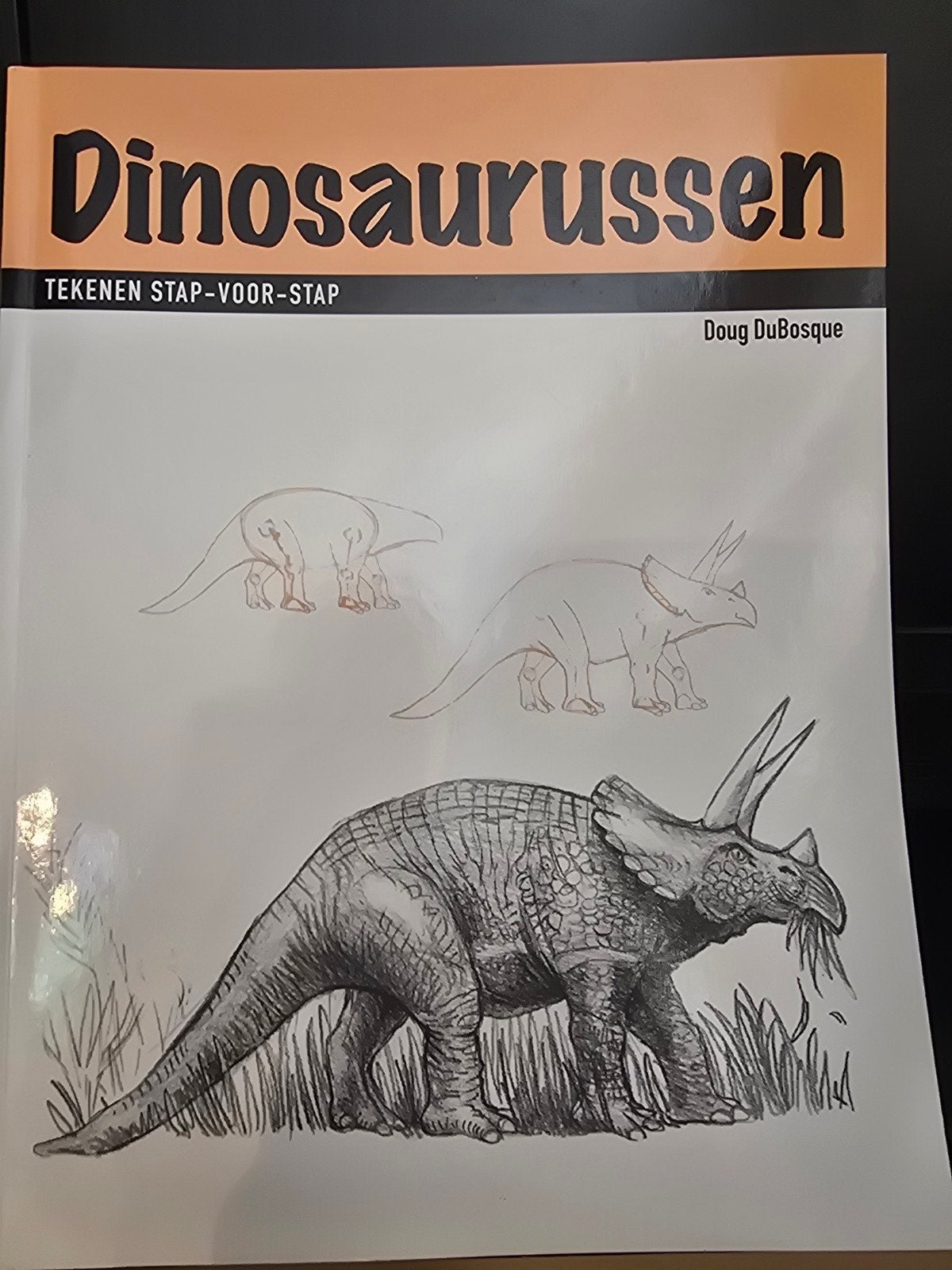 Dinosaurussen Tekenen Stap-Voor-Stap Boek, Hobby en Vrije tijd, Tekenen, Ophalen of Verzenden, Zo goed als nieuw, Boek of Gids