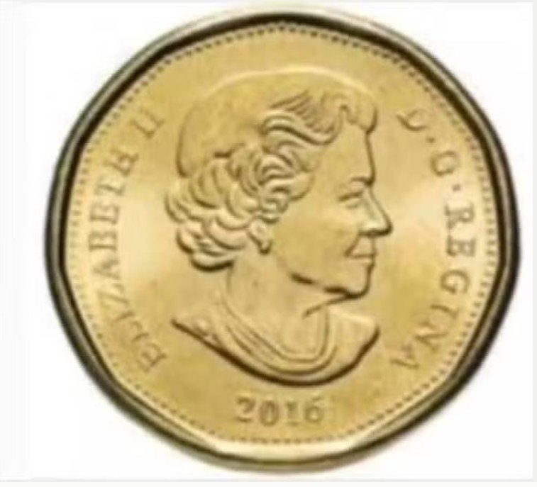 Canada - 1 dollar 2016 - circulated, Postzegels en Munten, Munten | Amerika, Ophalen of Verzenden, Noord-Amerika, Losse munt
