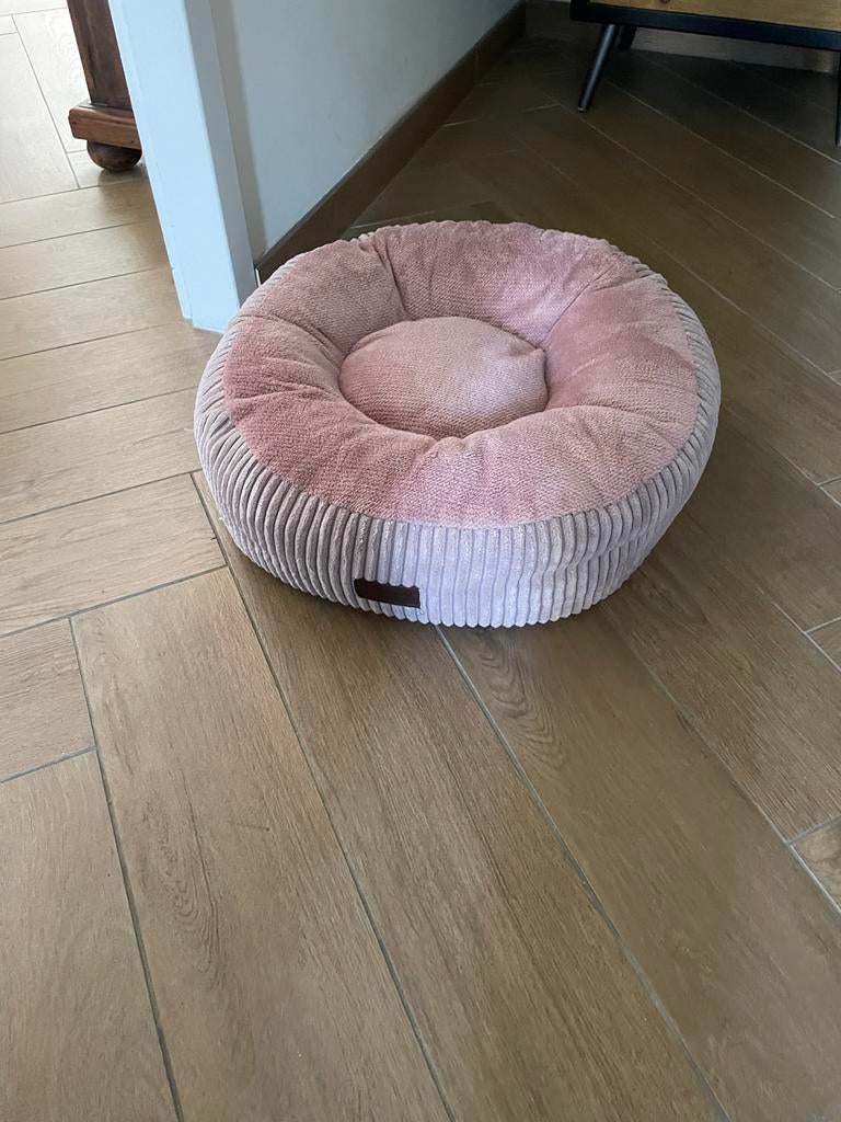 Kattenmand designed by Lotte, Ophalen, Zo goed als nieuw