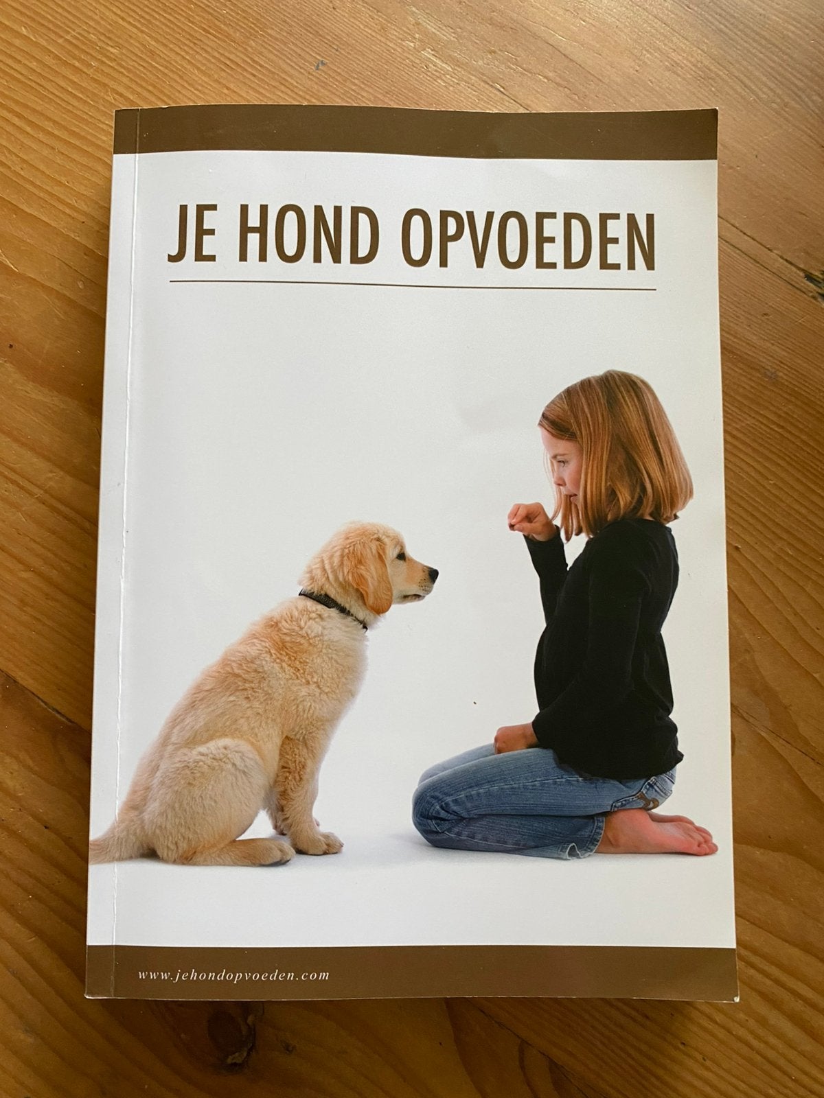 Je hond opvoeden - Davy Agten, Boeken, Dieren en Huisdieren, Ophalen of Verzenden, Gelezen, Honden