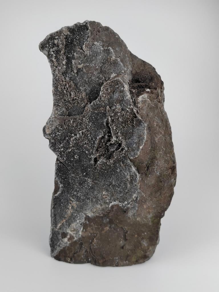 Versteend hout met kwarts - Indonesië, Verzamelen, Mineralen en Fossielen, Mineraal, Ophalen of Verzenden