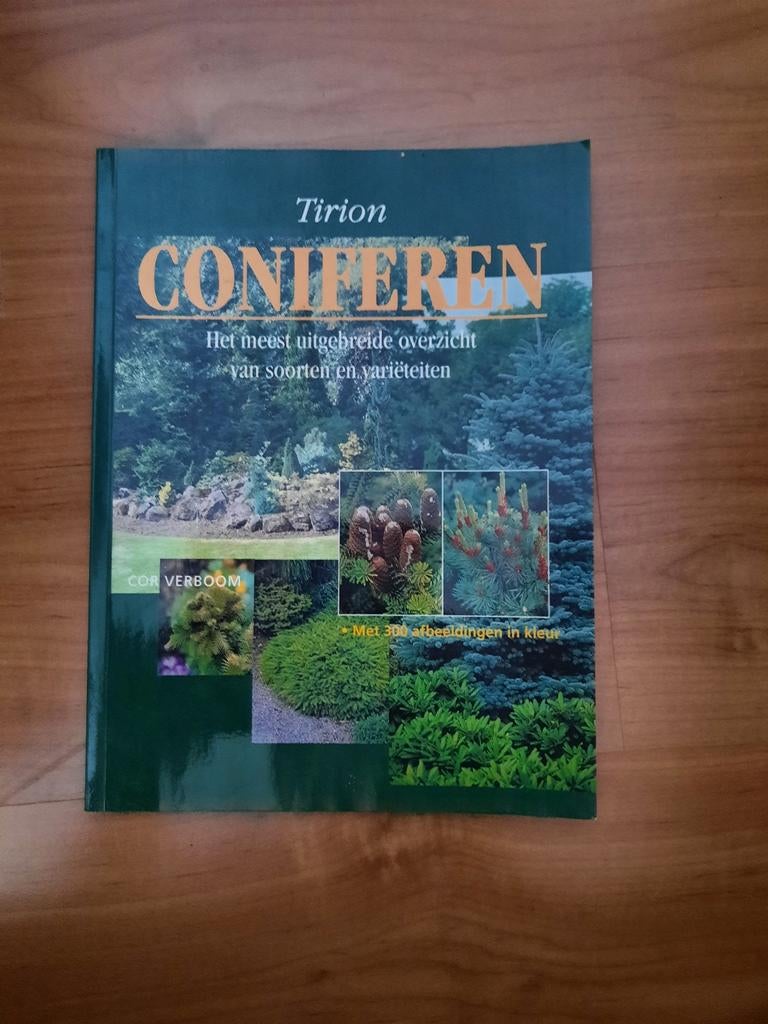 Tirion Coniferen Boek - Uitgebreid Overzicht Soorten & Varië, Ophalen of Verzenden, Nieuw, Cor Verboom, Tuinieren en Tuinplanten