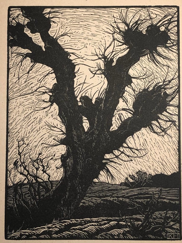 Mooie, betaalbare kunst v/h Grafiekkabinet Karl Hennemann, Antiek en Kunst, Kunst | Etsen en Gravures, Verzenden