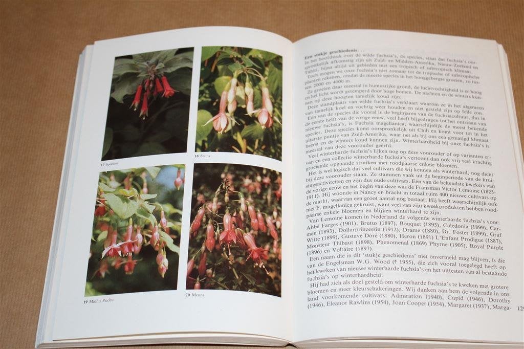 Fuchsia's hebben en houden., Ophalen of Verzenden, Gelezen