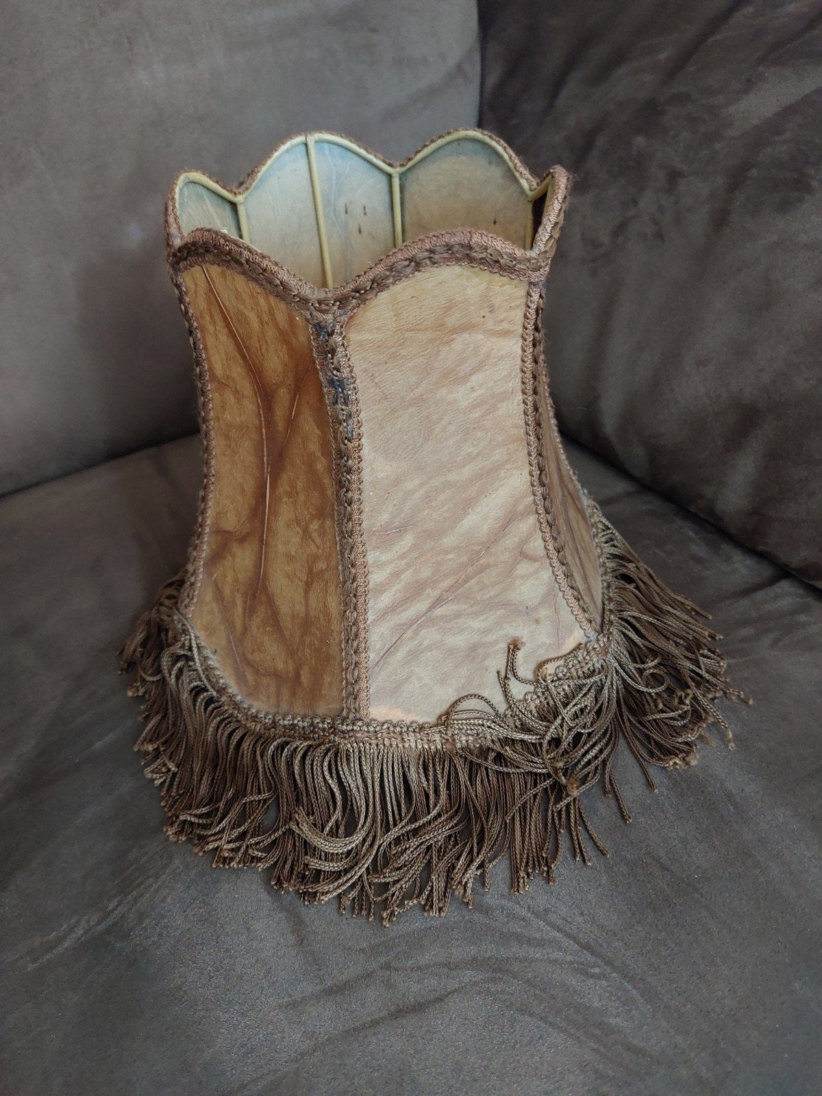 Varkensblaas kap, Ophalen of Verzenden