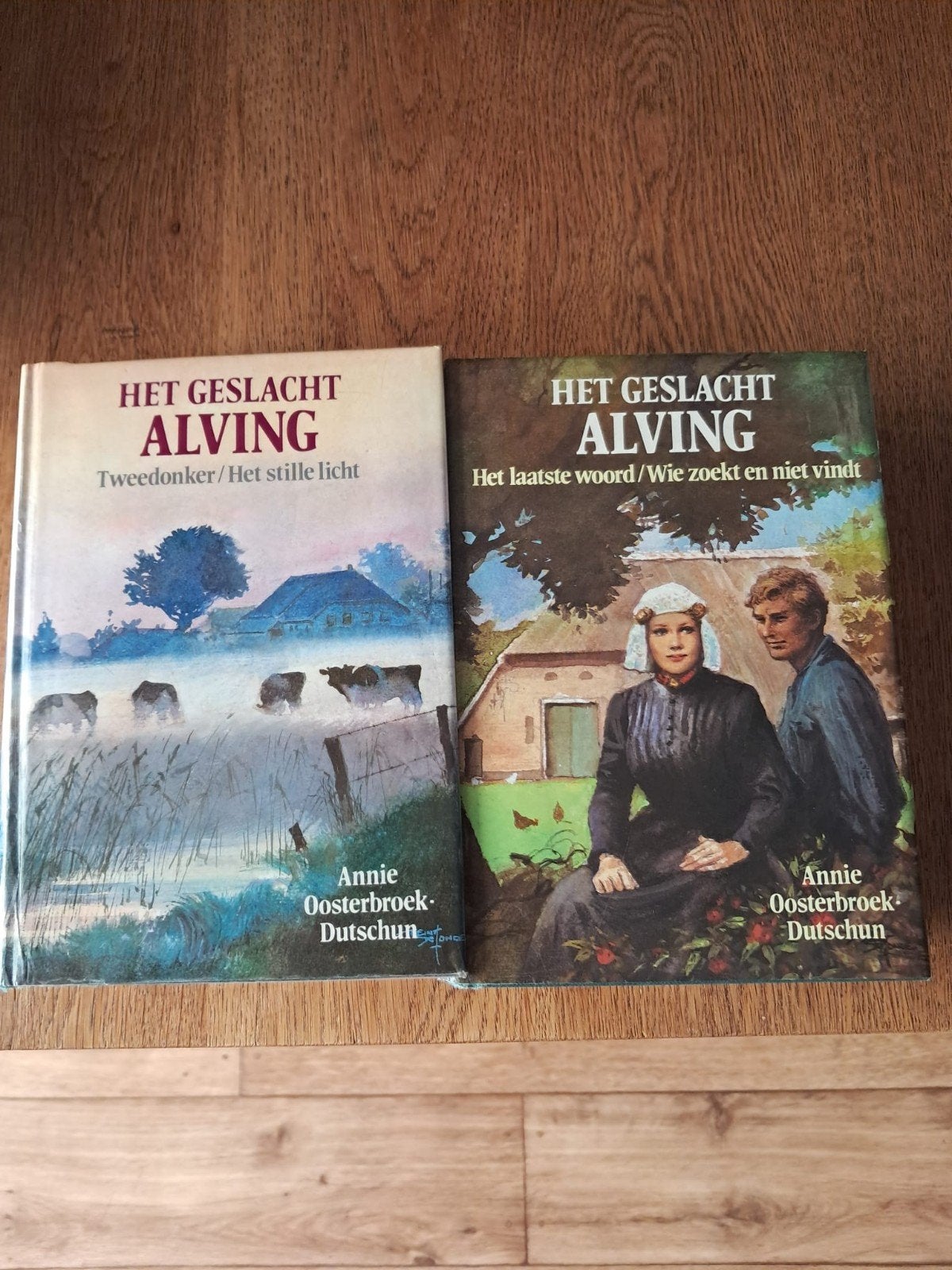 Het Geslacht Alving - Annie Oosterbroek-Dutschun (2 delen), Ophalen of Verzenden, Gelezen, Annie Oosterbroek-Dutschun, Nederland