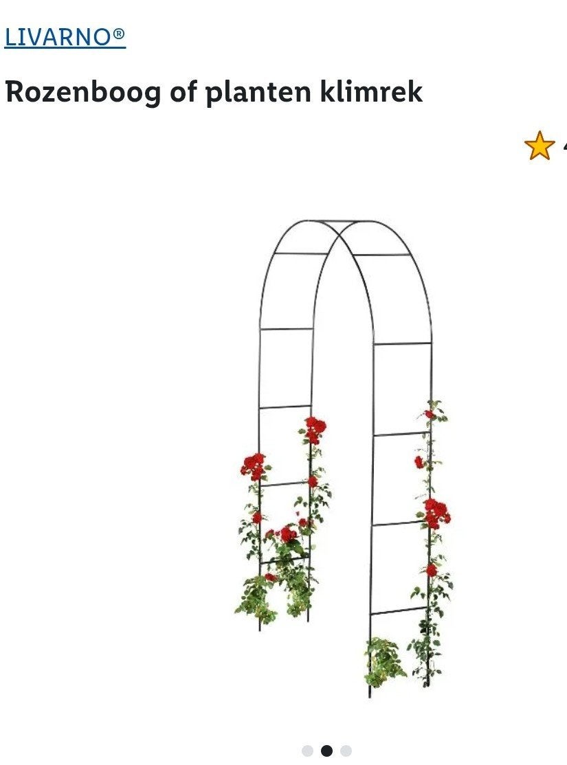 Rozenboog Gedemonteerd Zwart Nieuw Metaal Plantenklimrek Rek, Ophalen of Verzenden, Nieuw