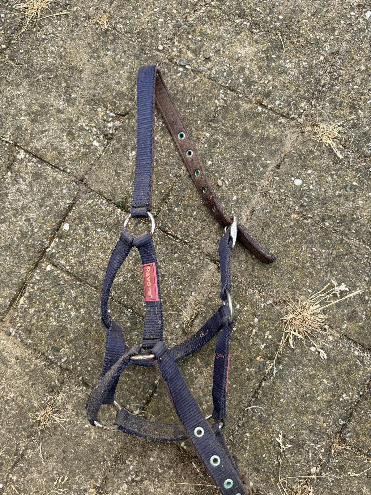 Veulen halsters, Ophalen, Gebruikt